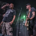 GutterPunk - Professional Concert Photography